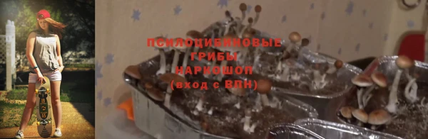 каннабис Беломорск