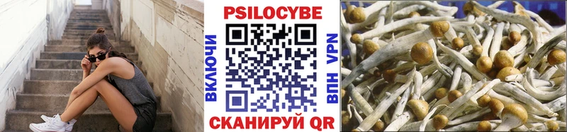 наркота  Духовщина  Псилоцибиновые грибы мухоморы 